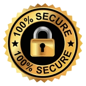 100% Secure Transaction Seal